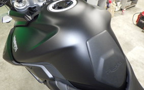 TRIUMPH TIGER 800 XR T 2020