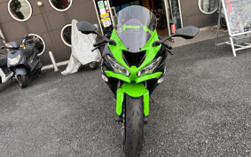KAWASAKI NINJA ZX-6R 2019 ZX636G