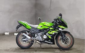 KAWASAKI NINJA150RR KR150P