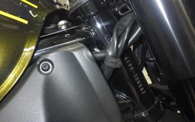 KAWASAKI Z900RS 2020 ZR900C