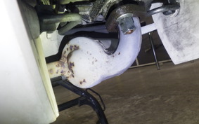 HONDA C50 SUPER CUB 2020 AA04