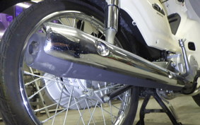 HONDA C50 SUPER CUB 2024 AA04