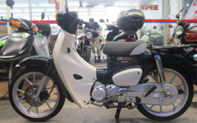 HONDA SUPER CUB110 JA59