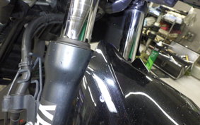 YAMAHA FZ25