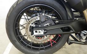 TRIUMPH TIGER 900 RALLY PRO 2025