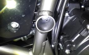 KAWASAKI ELIMINATOR400-3 2025 EL400A