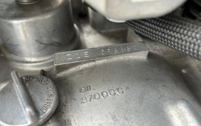 KAWASAKI Z900 2020 Z1F