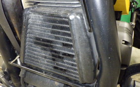 OTHER +ｳﾞｨｸﾄﾘｰﾊﾏｰ SPORTS 2013