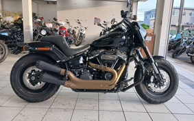 HARLEY  HARLEY FXFBS 2021 YLK