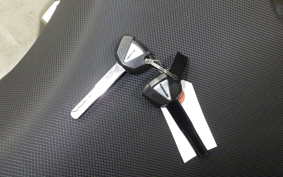 KAWASAKI NINJA 250 2024 EX250Y