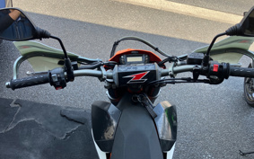 KTM 690 ENDURO R 2009 LES40