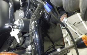 HARLEY XL883N 2011