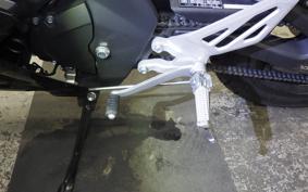 YAMAHA YZF-R15 RG86J