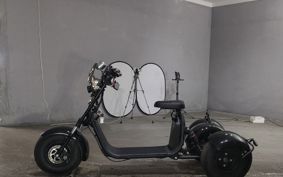 OTHER DENDOU TRIKE  ..