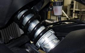 TRIUMPH TRIDENT 660 2024