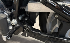 HARLEY FLFBS 2021 YGK