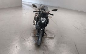 KAWASAKI Z250 SL BR250E