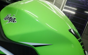 KAWASAKI NINJA 250 ABS EX250L