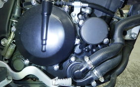 KAWASAKI KLX250D TRACKER X 2021 LX250V