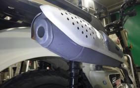 HONDA CT125 HUNTER CUB 2025 JA55