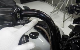 HARLEY FLTRXSE1920CVO 2021