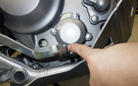 HONDA CRF250L 2021 MD47