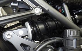 KAWASAKI Z900RS CAFE 2024