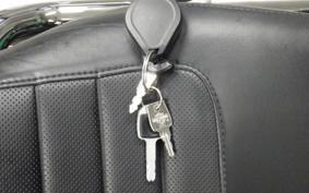 HARLEY FXLR1750 2018