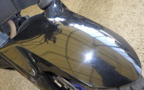 YAMAHA MT-25 RG43J