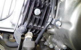 HONDA CT125 HUNTER CUB 2006 JA55
