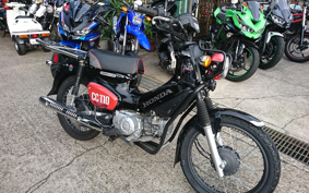 HONDA CROSS CUB JA45