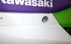 KAWASAKI KLX250 Gen.2 LX250S