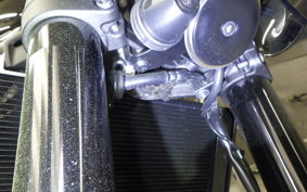KAWASAKI Z900RS CAFE 2025 ZR900K