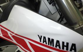 YAMAHA WR250R 2025 DG15J