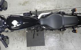 HARLEY XL1200NS 2019