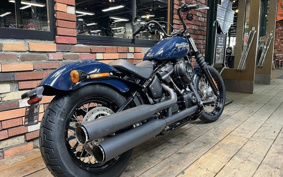 HARLEY FXBB 2018 YJJ
