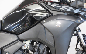 SUZUKI STROM 250ABS DS11A