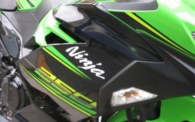 KAWASAKI NINJA 250 EX250P