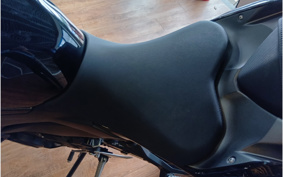 KAWASAKI Z250 EX250P