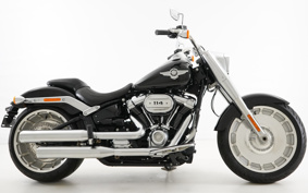 HARLEY FLFBS 2017 YGK