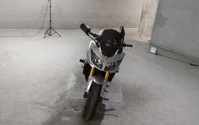 YAMAHA FZ1 FAZER RN17