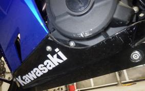 KAWASAKI NINJA 250 2006 EX250P