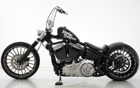 HARLEY FXSB 2016 BFV
