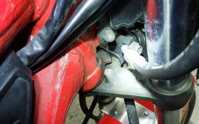 YAMAHA RZ250RR 2006 29L