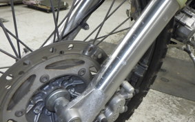 KAWASAKI SUPER SHERPA 2020 KL250G