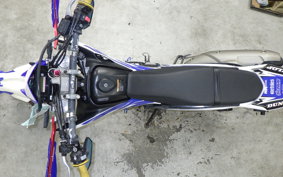 YAMAHA WR250X 2022 DG15J