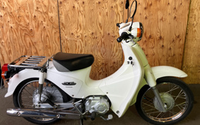 HONDA SUPER CUB110 JA07