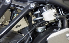 YAMAHA YZF-R3 2018 RH13J