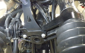 KAWASAKI W800 2025