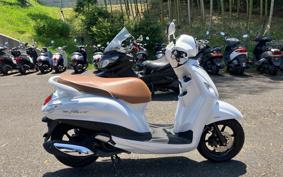YAMAHA  GRAND  FILLER -NO HYBRID  SEE9